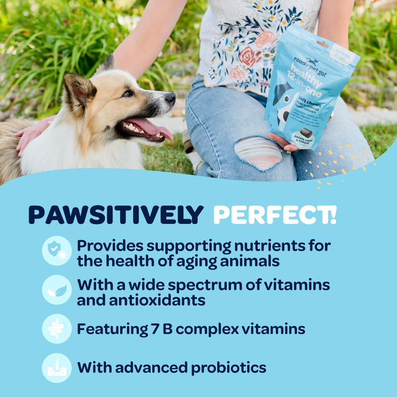 12-in-1 Complete Multivitamin for Dogs | Dog Multivitamin Chewable with Glucosamine Chondroitin & Digestive Probiotics for Dogs of All Ages and Sizes | NASC Certified & Made in The USA | 90 Chews 90 Count (Pack of 1) - PawsPlanet Australia