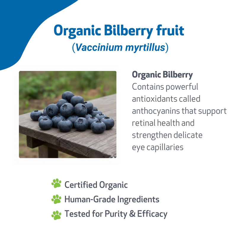 Pet Wellbeing Bilberry for Cats - Eye & Vision Support with Antioxidants, Capillary Health, Retinal Support - NASC Certified & Vet-Formulated - 2 oz Liquid