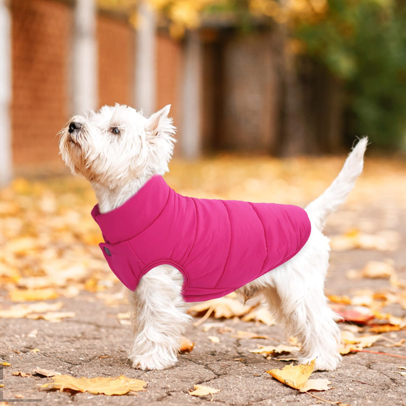 ASENKU Windproof Dog Winter Coat Waterproof Dog Jacket Warm Dog Vest Cold Weather Pet Apparel with 2 Layers Fleece Lined for Small Medium Large Dogs (Pink, L) Pink - BeesActive Australia