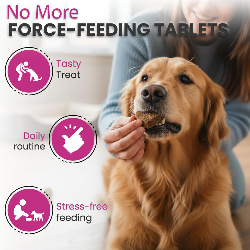 Dog Treats for Itchy Skin - All Itch & Immunity Dog Chews with Salmon Oil, Probiotics & Colostrum, Scratching, Licking & Chewing, 120 Chews
