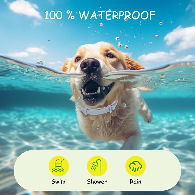 Nobleza - 2 pieces tick collar for dogs, effective protection against ticks and fleas, waterproof and adjustable in size, up to 8 months tick protection with 100% natural ingredients, length 56 cm - BeesActive Australia