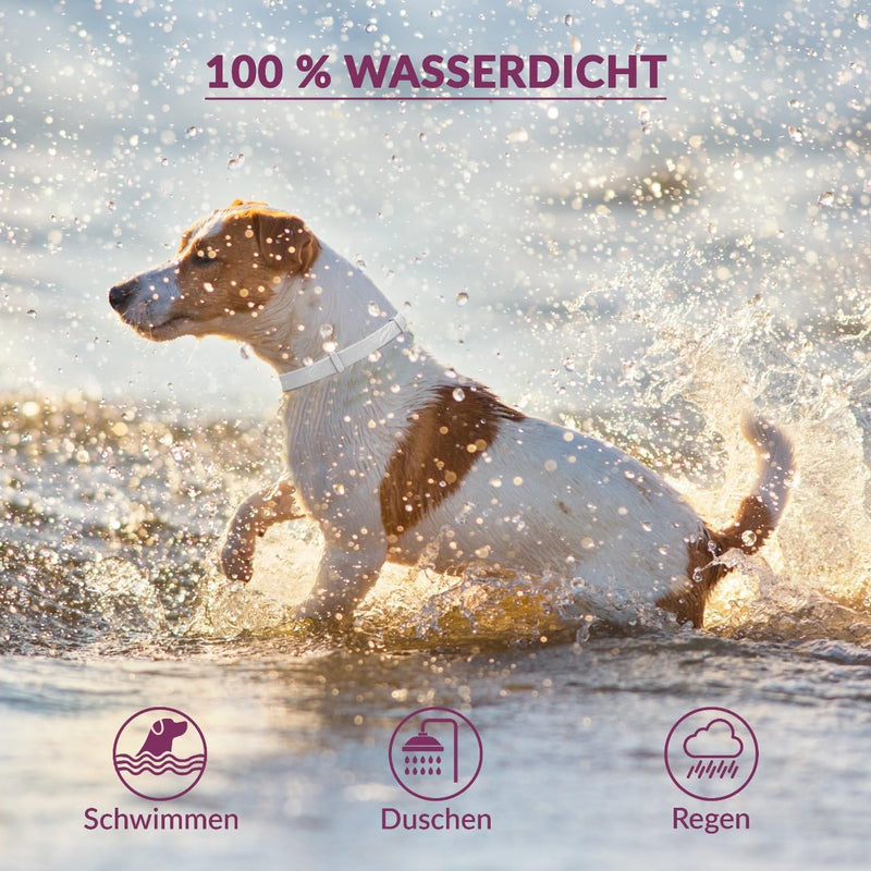 Animal Vita® Premium tick collar for small dogs - reliable protection against ticks [waterproof and size-adjustable] up to 8 months of tick protection for dogs - BeesActive Australia