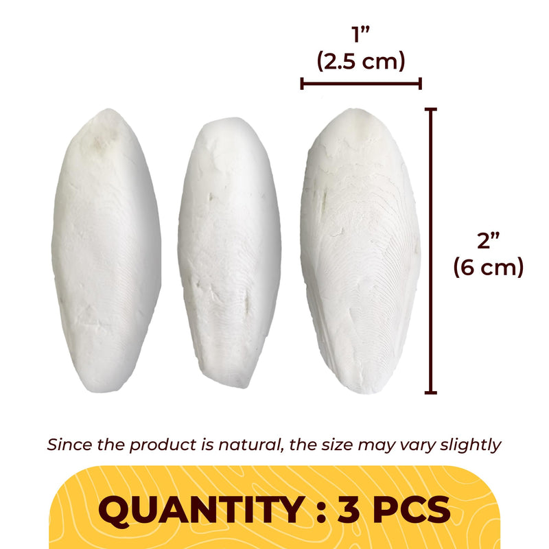 SunGrow 3 Pack Cockatiel Cuttlefish Bone, Calcium Addition to Bird Beak Care, Cage Mount Holder NOT Included, Support Shell Strength, Turtle, Shrimp, Dog, Snail, Aviary Clip, Accessory Reptile Small, 3 Pieces