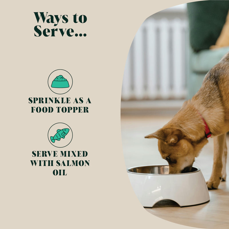 Green Lipped Mussel Powder For Dogs (100 g) | Hip & Joint Care Supplement | 80 Daily Servings | Hackney Dog House