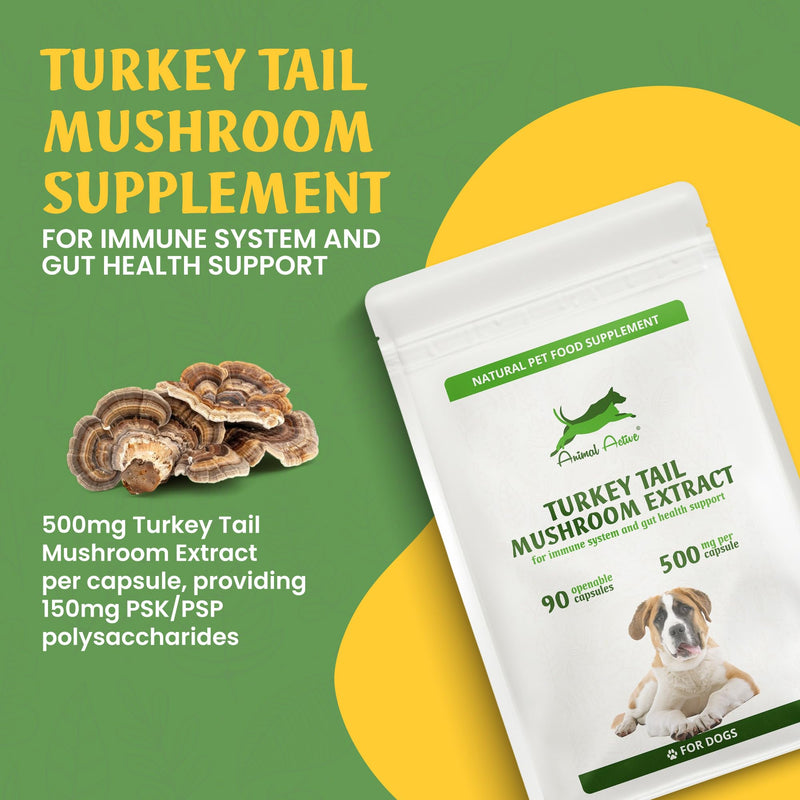Turkey Tail Mushroom for Dogs 90 Capsules with 500mg PSK/PSP Beta-Glucans Extract - Immune Support Supplement - Gut Health & Prebiotic, UK Made, GMP Certified