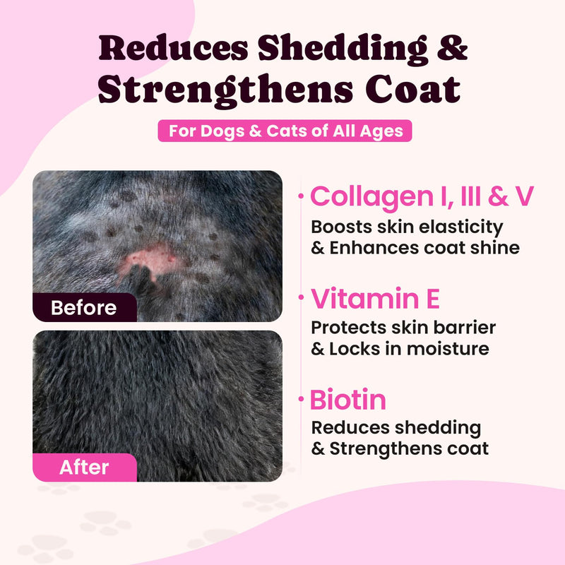 Premium Collagen for Dogs & Cats – 5 Types of Grass-Fed Collagen (I, II, III, V & X), Fast Allergy & Itch Relief Dog Colágeno with MSM, Biotin & Hyaluronic Acid – Supports Healthy Skin & Joints –120ml Bacon