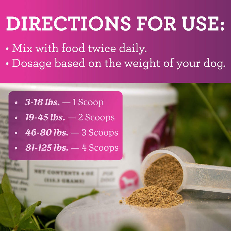 Dr. Harvey's Kidney Health Kidney Support Supplement for Dogs (4 Ounces) - PawsPlanet Australia
