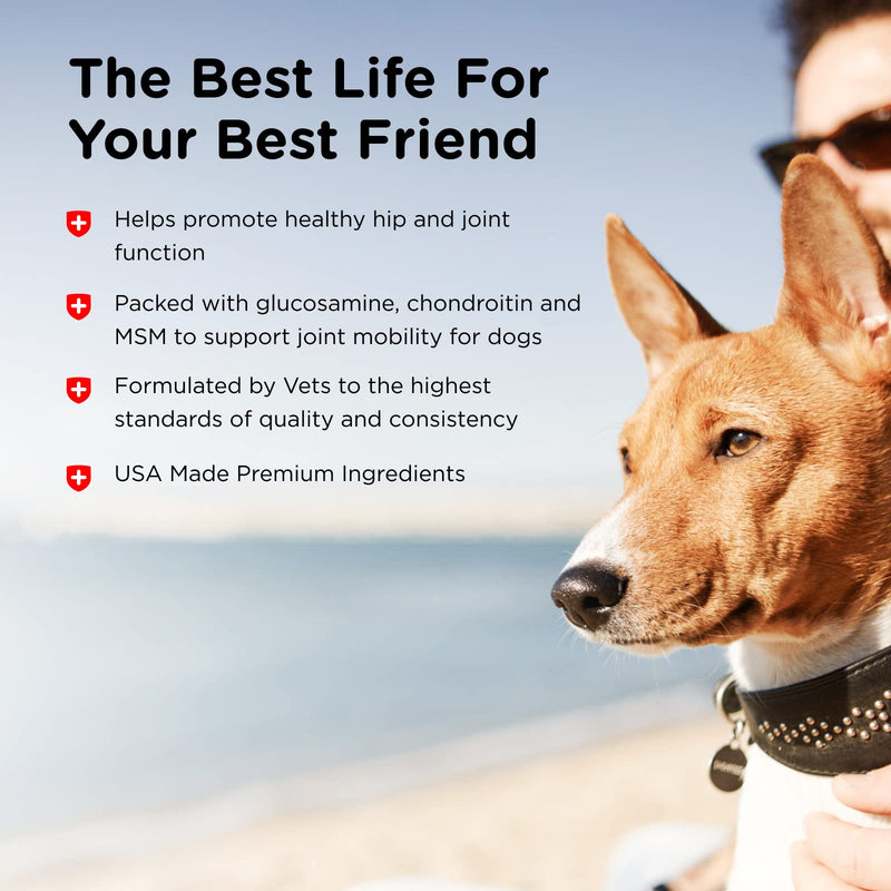Nutri-Vet Hip & Joint Chewable Dog Supplements | Formulated with Glucosamine & Chondroitin for Dogs | 75 Count - BeesActive Australia