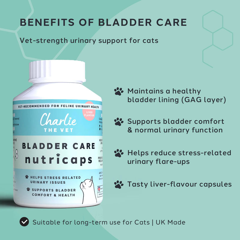 Bladder Care Urinary Support for Cats, with N-Acetyl D-Glucosamine, Hyaluronic Acid, L-Tryptophan and L-Theanine, for Bladder Comfort
