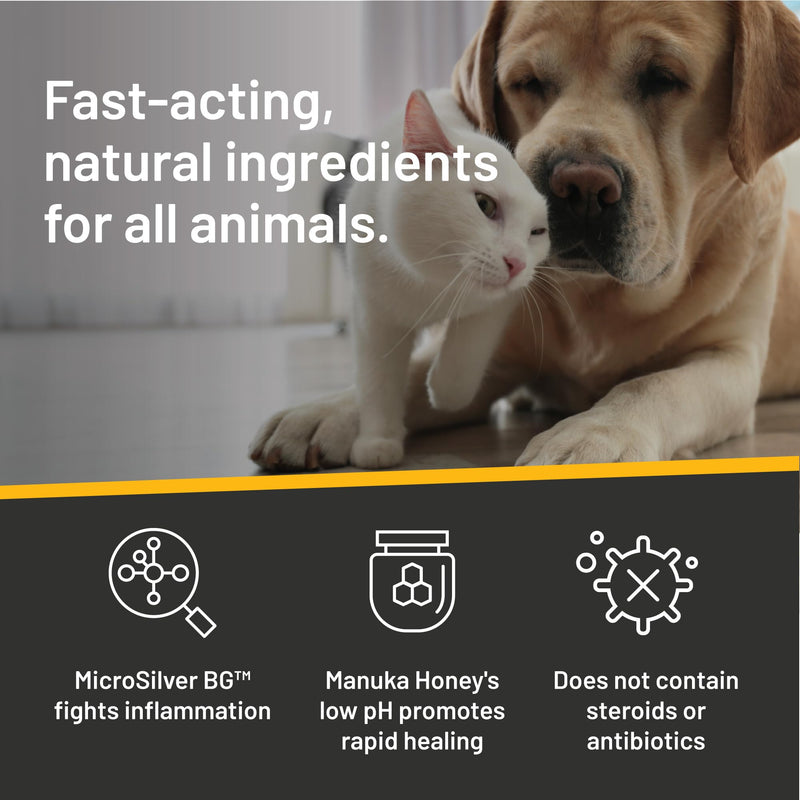 Absorbine Silver Honey Hot Spot & Wound Care Spray Gel 8oz Bottle, Manuka Honey & MicroSilver BG, Medicated for Dogs, Cats, Small Animals 8 oz - PawsPlanet Australia