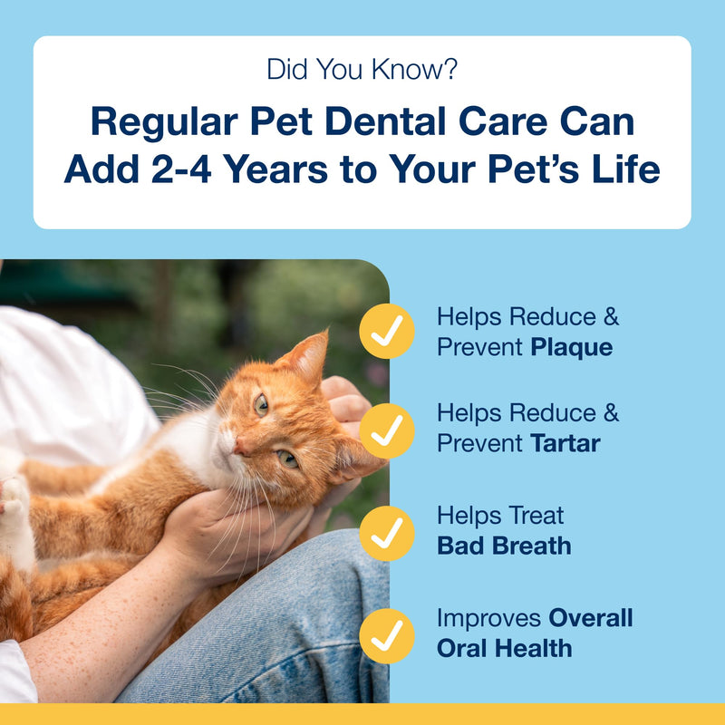 ProDen PlaqueOff Powder for Cats - Plaque & Tartar Reducer, Breath Freshener, Feline Oral Care - 40g (Pack of 2) 1.4 Ounce (Pack of 2)