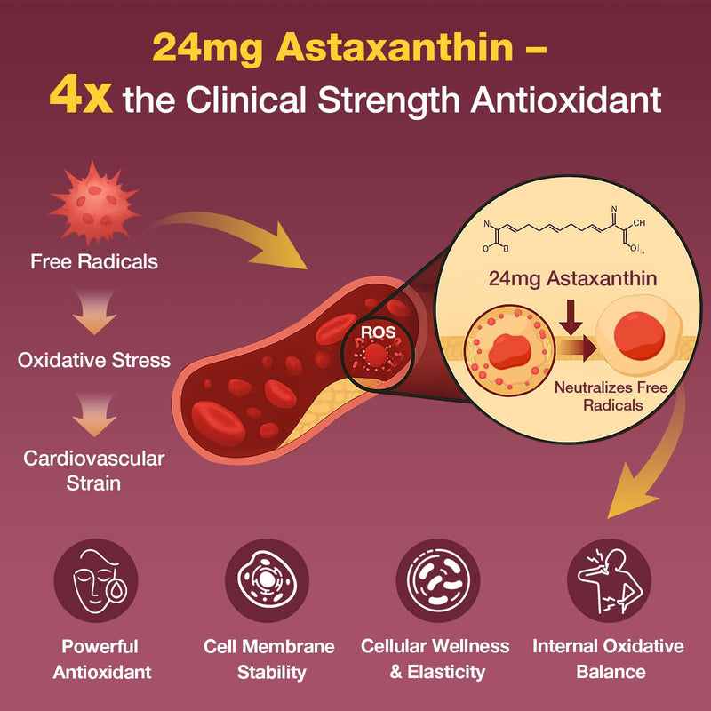 Liposomal Red Yeast Rice 1200mg with CoQ10 & Astaxanthin ‚Äì Extra Strength Cholesterol, Cardiovascular & Metabolic Support ‚Äì High Absorption ‚Äì Citrinin-Free, 120 Softgels 120 Count (Pack of 1) - BeesActive Australia