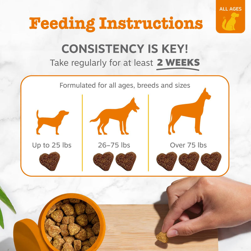 Zesty Paws Allergy & Immune Bites + 10-in-1 Dog Multivitamin Powder