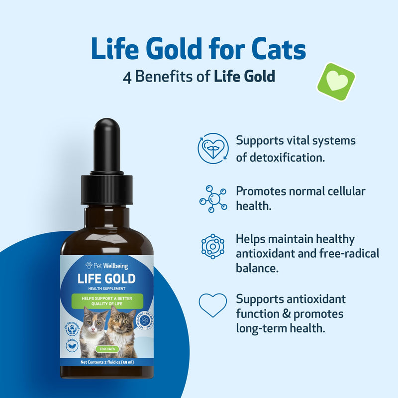 Pet Wellbeing Life Gold for Cats - Immune Support, Antioxidants, Detoxification, Cellular Health, Astragalus, Blessed Thistle, Sheep Sorrel - Veterinarian-Formulated Herbal Supplement 2 oz (59 ml) 2oz - BeesActive Australia