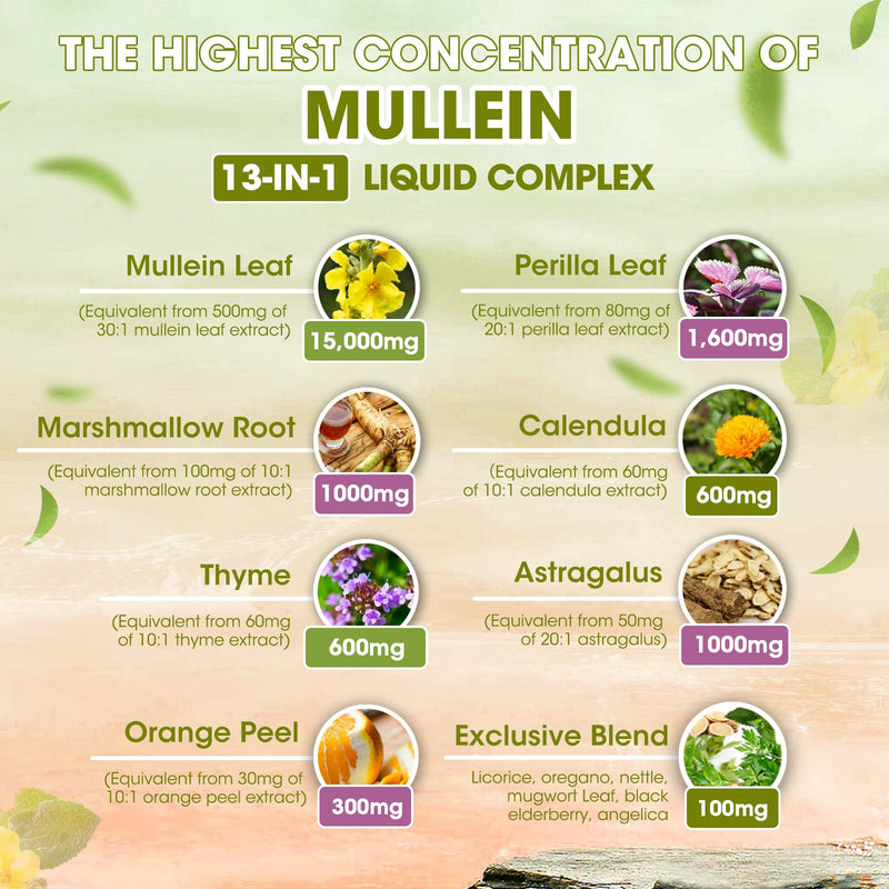Mullein Drops for Lungs – 15,000mg Mullein Leaf Extract with Marshmallow Root, Perilla & Astragalus for Respiratory Support, Immune Boost & Lung Detox, Natural Herbal Formula, Vegan, 2 fl oz - BeesActive Australia