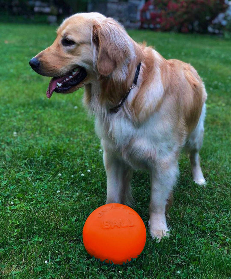 Jolly Pets Bounce-n-Play Dog Toy Ball, 8 Inches/Large, Orange, (Model: 2508 OR) Large (8 in) - BeesActive Australia