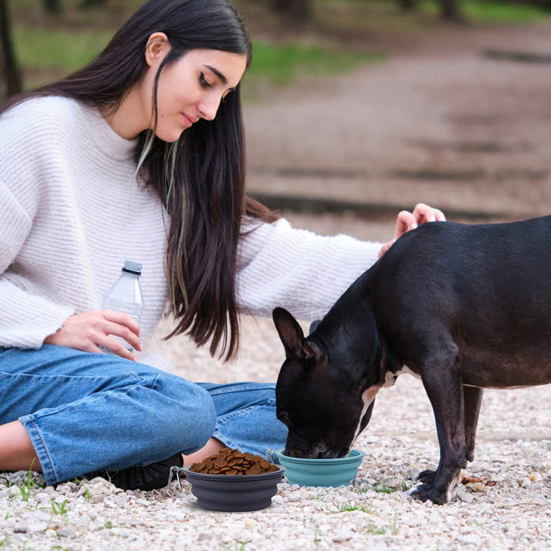 Kytely Collapsible Dog Bowls Medium (650ml), 2 Pack Travel Dog Bowls for Dog Cat, Portable Dog Water Food Bowl with Clasp, Pet Cat Feeding Cup Dish for Outdoor, Travel, Walking, Parking Lake Blue & Grey - BeesActive Australia
