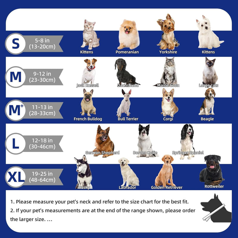 Neck collars for dogs, 2-in-1 inflatable dog collar for recovery after operations or wounds, dog collar, protective collar for pets, adjustable, comfortable protective collar, blue L blue (neck: 12 "-18") L - BeesActive Australia