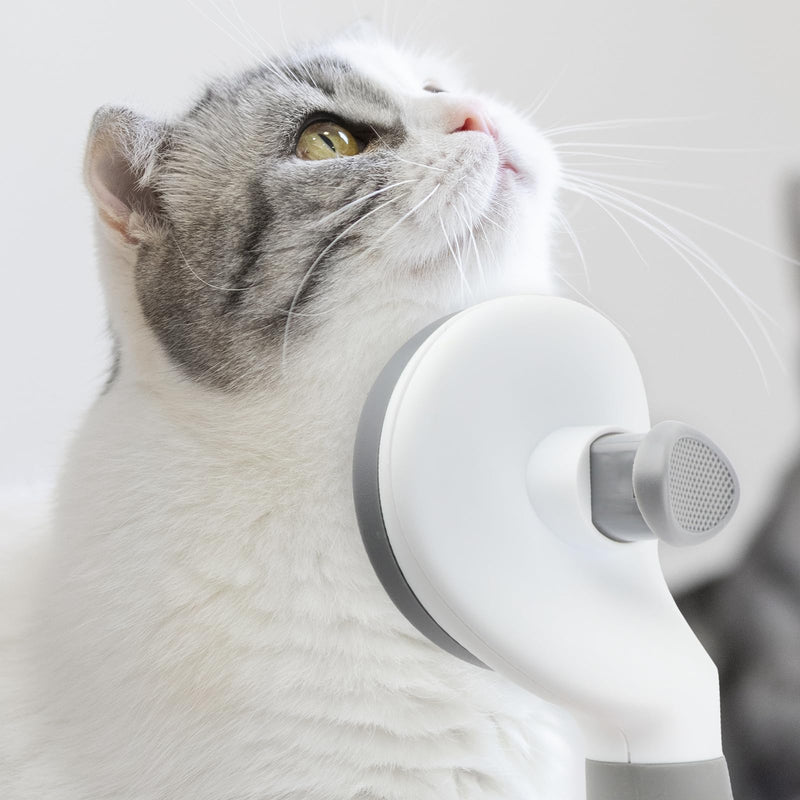 Cat Brush for Shedding, Cat Hair Brush with Release Button for Indoor Cats Dogs Self Cleaning Grooming(Dark Grey) - BeesActive Australia