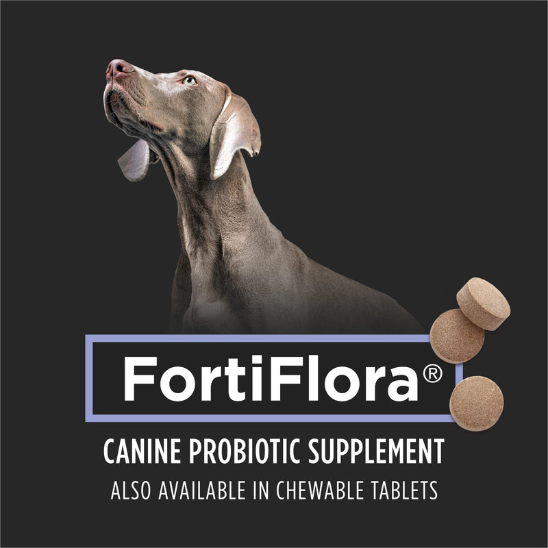 Purina Pro Plan Veterinary Supplements FortiFlora Dog Probiotic Supplement, Canine Nutritional Supplement 30 Ct. Box (Pack of 2) 30 Count (Pack of 2)