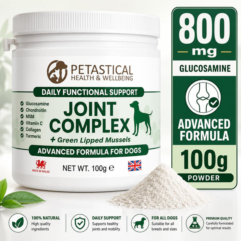 Joint Supplements for Dogs, 800mg Glucosamine, 800mg Chondroitin, 800mg MSM with Added Turmeric and Green Lipped Mussels (100g) 100 Scoop
