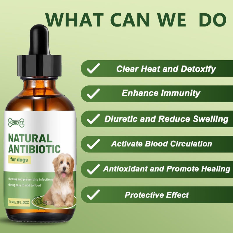 Dog Antibiotics for Infections, Cough, & Itching | Natural Antibiotics for Dogs for All Ages to Promote Wound Healing | Dog UTI Treatment and Tooth Infection Treatment | Chicken Flavor | 2 Oz