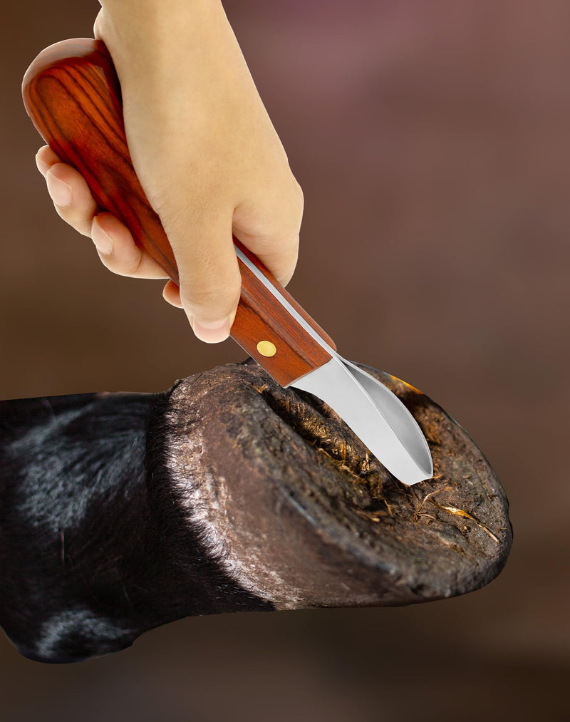 QWORK® Premium stainless steel hoof knife with handle, loop knife, hoof knife trimming tool for horses - BeesActive Australia