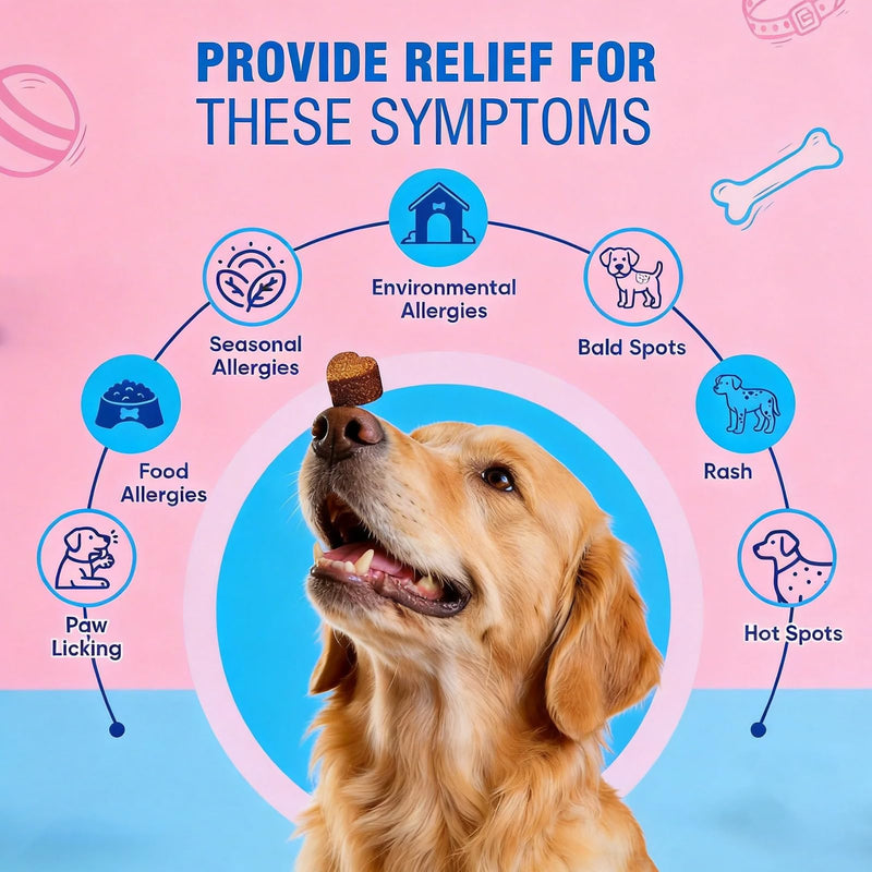 Dog Allergy & Skin Support Chews – Helps Maintain Healthy Skin and Coat, 200 PCS