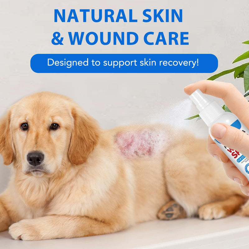 Vet-Recommended Hot Spot Spray for Dogs & Cats 120ml - Natural Wound Care with Quantum Silver & Lavender|Soothes Itchy Skin,Redness & Anxiety|Anti-Infection & Fast Healing