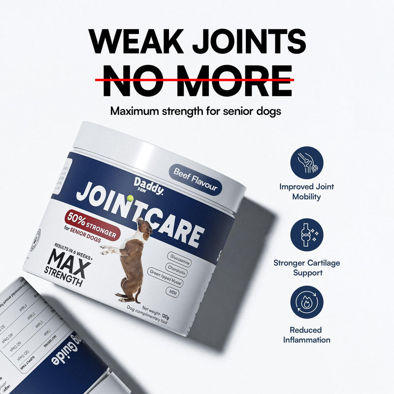 Joint Supplements for Dogs Max Strength Glucosamine & Chondroitin with Green Lipped Mussel for Dogs & MSM For Severe Joint Stiffness, Mobility & Dog Pain Relief Anti Inflammatory Beef Max Strenght