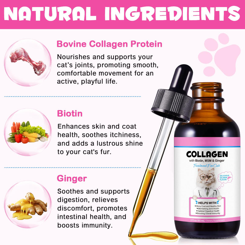 Collagen Drop for Cats - Biotin, MSM & Ginger - Shinny Coat, Healthy Skin - Maintains Joint Health - Boost Immunity - Salmon Flavor, 60ml