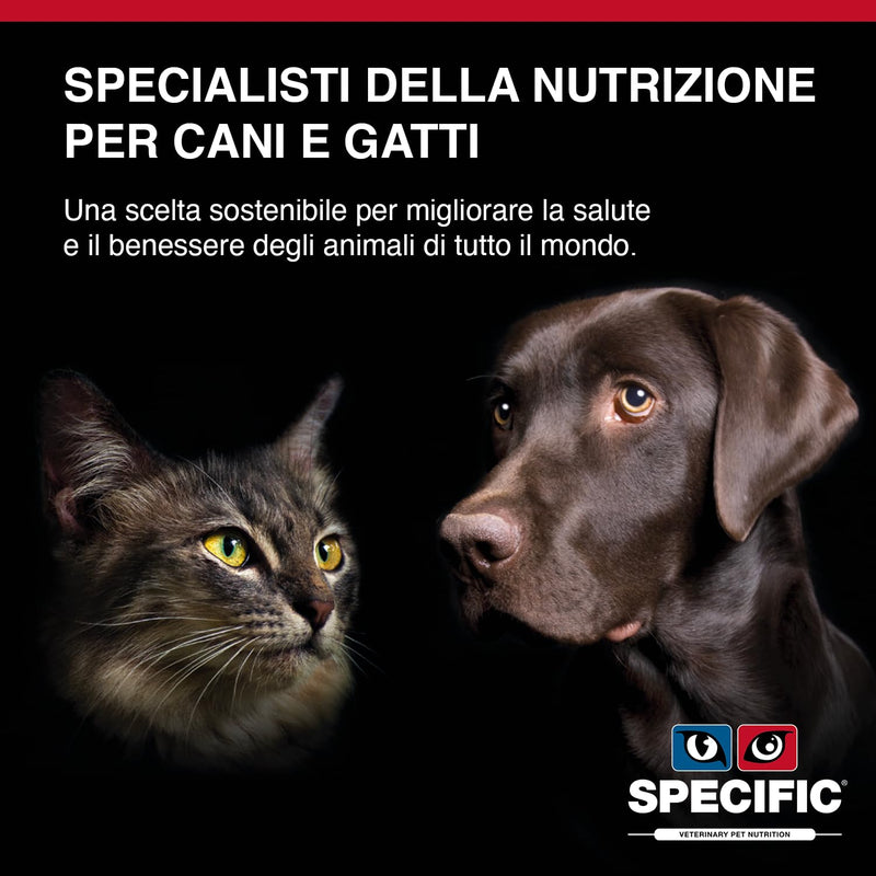 DECHRA Veterinary Products - SPECIFIC FIW Digestive Support - Wet Food for Cats - Improves Intestinal Flora - High Vitamin and Mineral Content - with Postbiotics - All Ages - 7 x 100 g