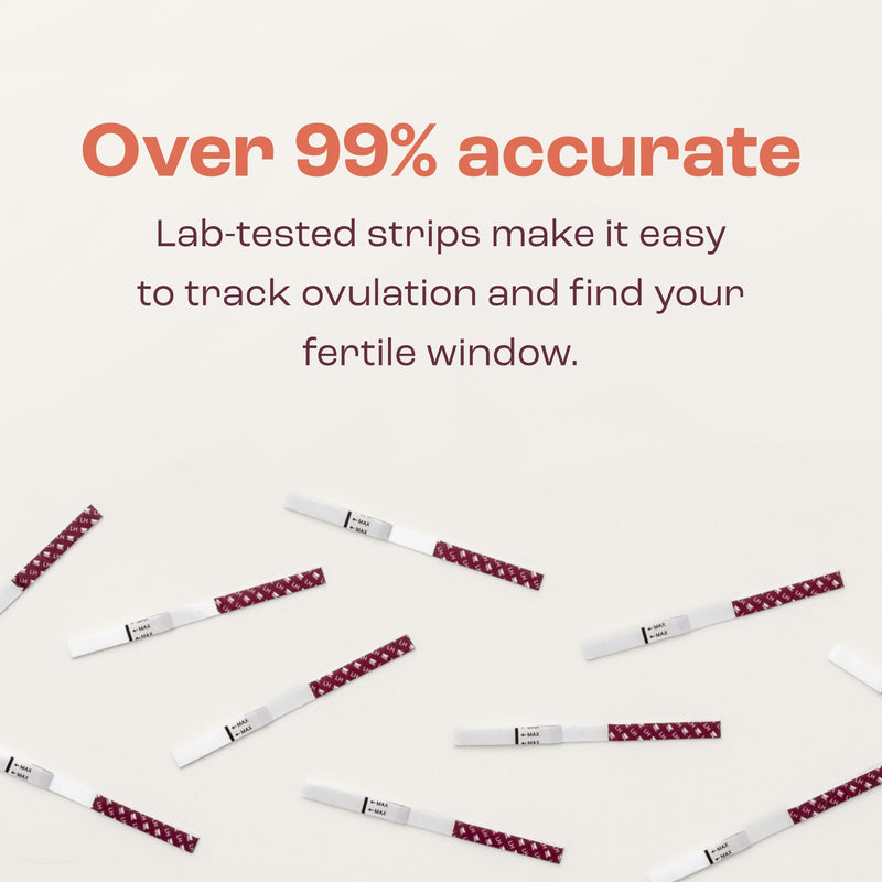 bird&be Ovulation Test Strips (LH) | 10 High-Accuracy Predictor Kits | Track Fertile Window & LH Surge | Eco-Friendly Low-Waste Design | Easy Dip & Read Results | TTC Fertility Monitor White 10 Lh Strips - BeesActive Australia