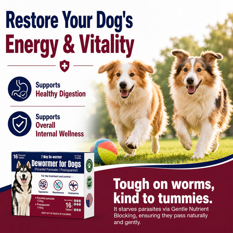 7-Way Dewormer for Dogs, Wormer for Tapeworms, Roundworms & Hookworms in Large Medium Dogs & Puppies (Over 10 lbs), with Praziquantel & Pyrantel Pamoate, 16 Tablets
