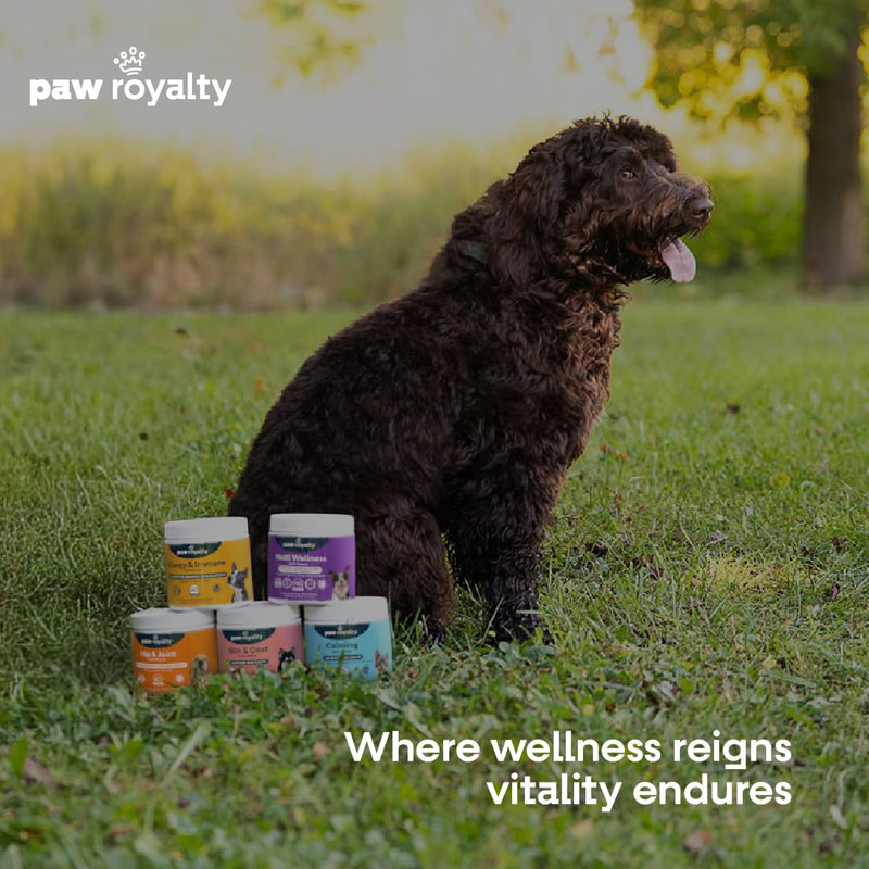 Dog Dental Powder | Tartar Control, Bamboo Extract & Green Tea for Clean Teeth, Healthy Gums & Periodontal Support | Daily Dental Care for Dogs | 90 Servings