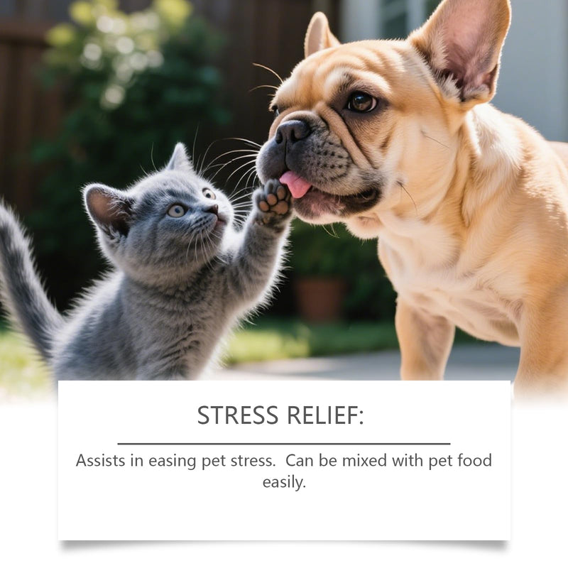 Melatonin for Dogs,Cats Soothing Liquid Sleep Support,Relaxation Aid,Natural Calming Drops for Separation,Thunder & Travel,Bacon Flavour (60ML) 60ML