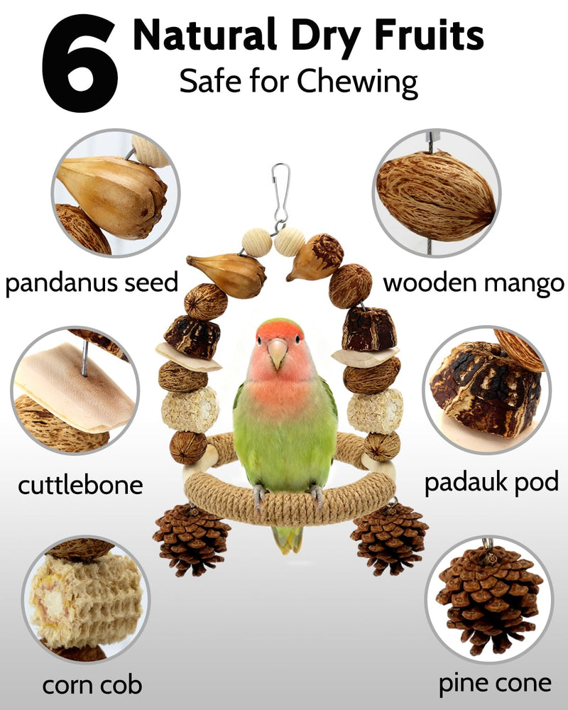 2 Pack All Natural Bird Chew Toys & 2Pcs Natural Bird Chew Swing Toys, Beak Grinding & Sisal Claw Care Toys for Small Medium Birds - BeesActive Australia