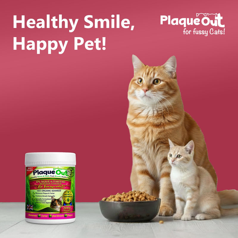 PLAQUE OUT for Fussy Cats 200g Pot - Plaque Off Remover - 100% Natural and Organic Seaweed Powder for Cats - Cat Teeth Cleaning, Cat Plaque Removal, Cat Dental Care, Bad Breath & Gum Care