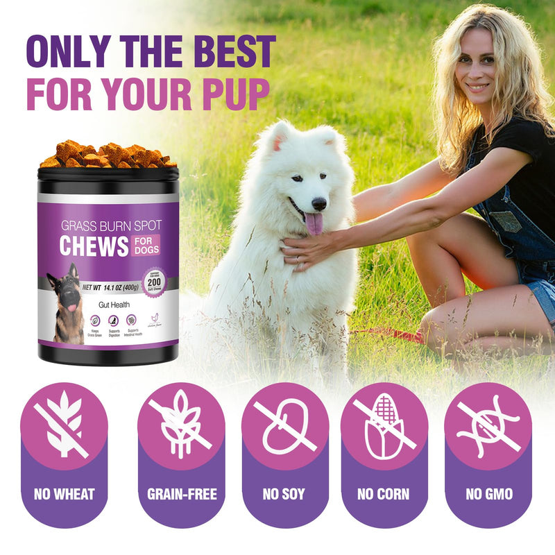 Grass Burn Spot Chews for Dogs Dog Pee Grass Neutralizer 200 Green Grass Dog Chews Urine Lawn Spot Protector Urinary Tract Support Dog Bladder Support Cranberry, Apple Cider Vinegar, DL-Methionine