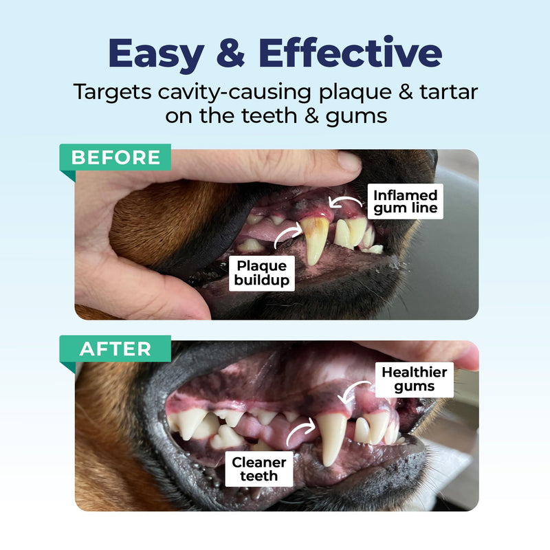 Vetnique Dentabliss - Dog Teeth Cleaning Finger Mitt Dental Wipe - Dog Plaque & Tartar Prevention with Brushing Beads - Flavored Dog Teeth Wipes, Dog Breath Freshener (Chicken) Chicken - PawsPlanet Australia