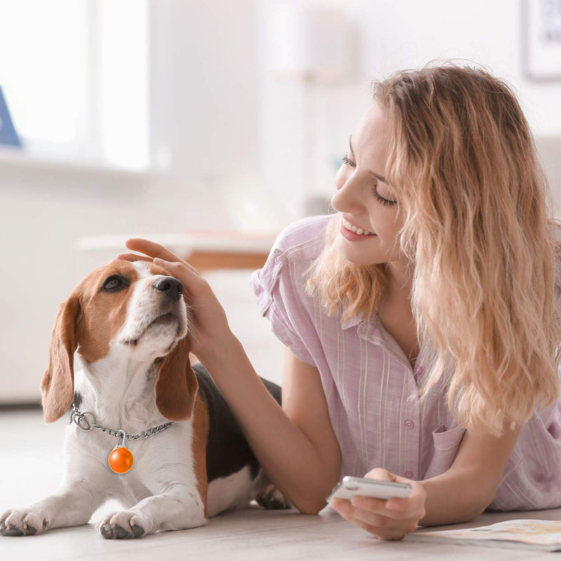 14 pieces dog flashing light pendant for dogs LED dog collar light LED light pendant pet light collar colorful waterproof safety collar lights with 3 flashing modes - BeesActive Australia