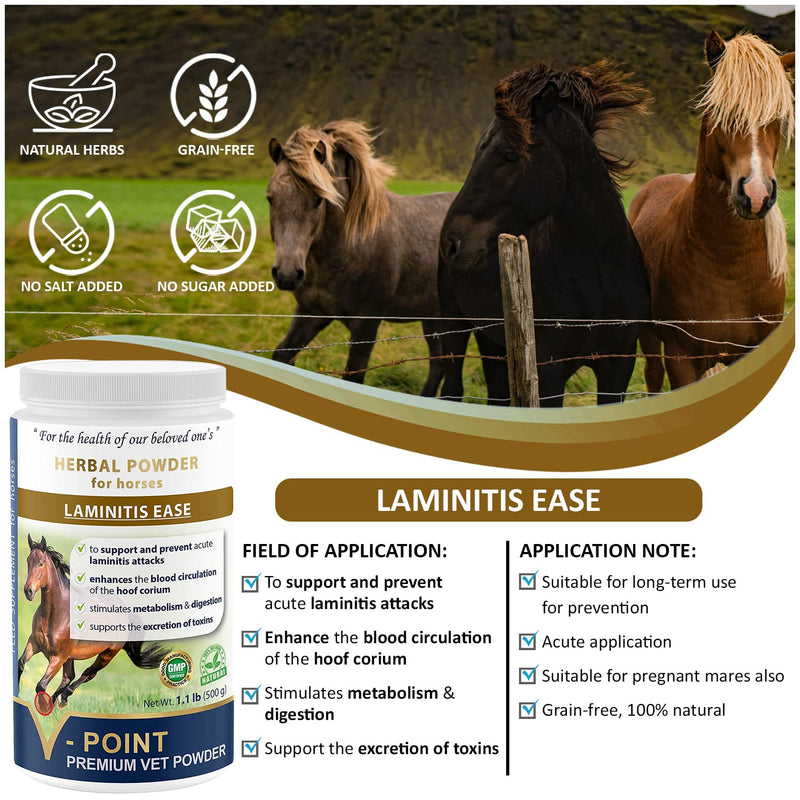 V-POINT - Laminitis Ease - hoof supplements for horses - horse hoof care product based on natural herbal powder - Ideal for hooves Health and Conditioning (1.0 lb) - BeesActive Australia