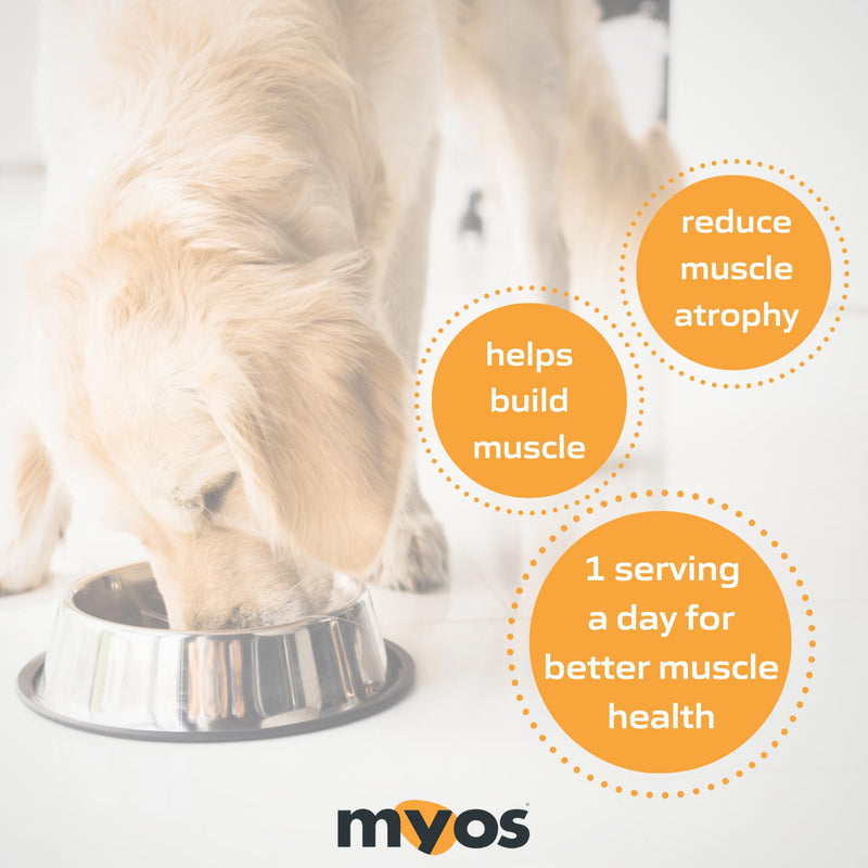 MYOS Canine Muscle Formula - All-Natural Muscle Building Supplement - Helps Reduce Muscle Loss in Aging Dogs and Improve Recovery from Injury or Surgery 6.35oz