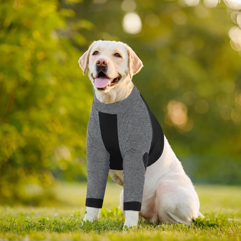 LeLePet Dog Front Leg Recovery Sleeve Elbow Protector Surgical Recovery Suit Dog Leg Wound Joint Protector Anti Licking Short Dog Suit Leg Brace Black Medium - BeesActive Australia