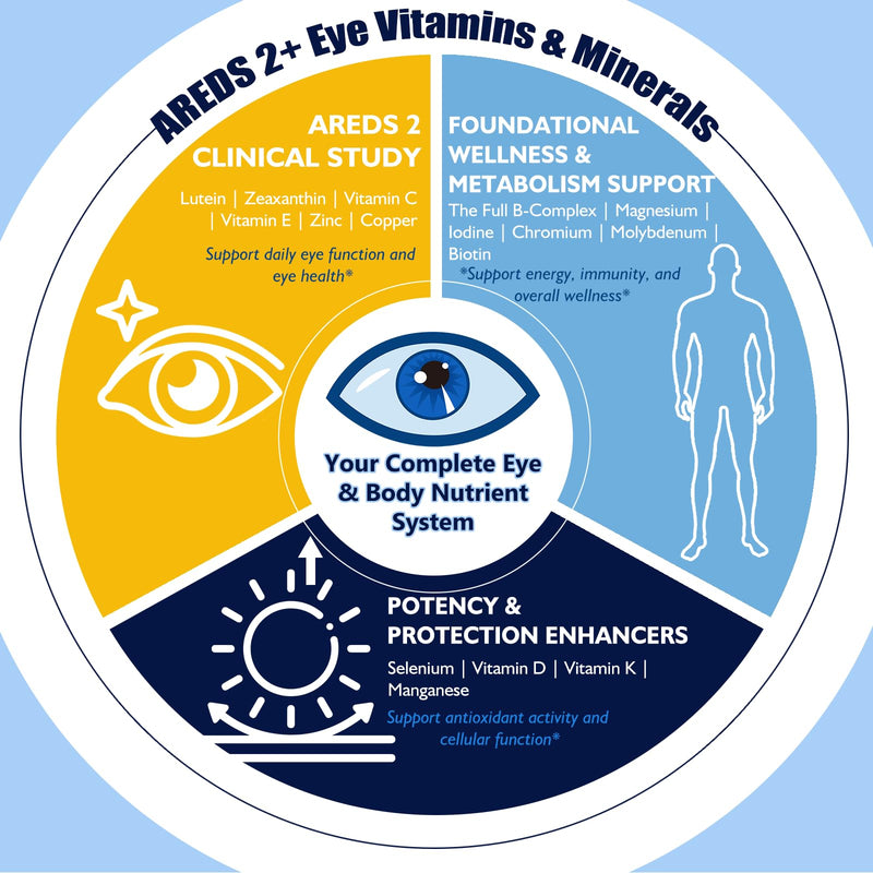AREDS 2 + Formula Liquid Drops for Macular Health, 22-in-1 Eye Vitamin & Mineral Supplement w. Lutein and Zeaxanthin, Copper, Zinc, Vitamin C, E | Support Vision, Immune & Vitality | Vegan, Non-GMO Blueberry 2 Fl Oz (Pack of 1)