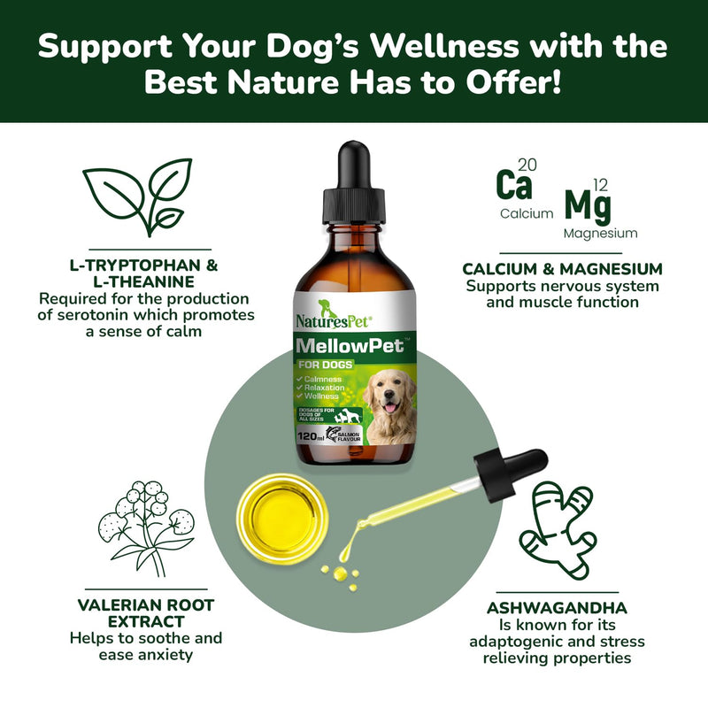 MellowPet – Calming Supplement for Dogs 120ml | Stress, Anxiety & Barking Relief for Travel & Separation | With Valerian & Ashwagandha – Salmon Flavour