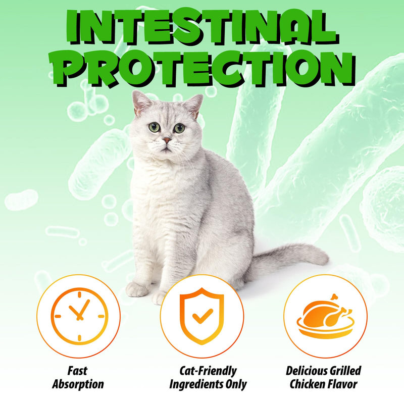 Cat Constipation Treatment Cat Antibiotics For Infections Probiotics Supplements & Vitamins (60ml), Gut & Immunity Support – Suitable for All Breeds, Ages & Sizes