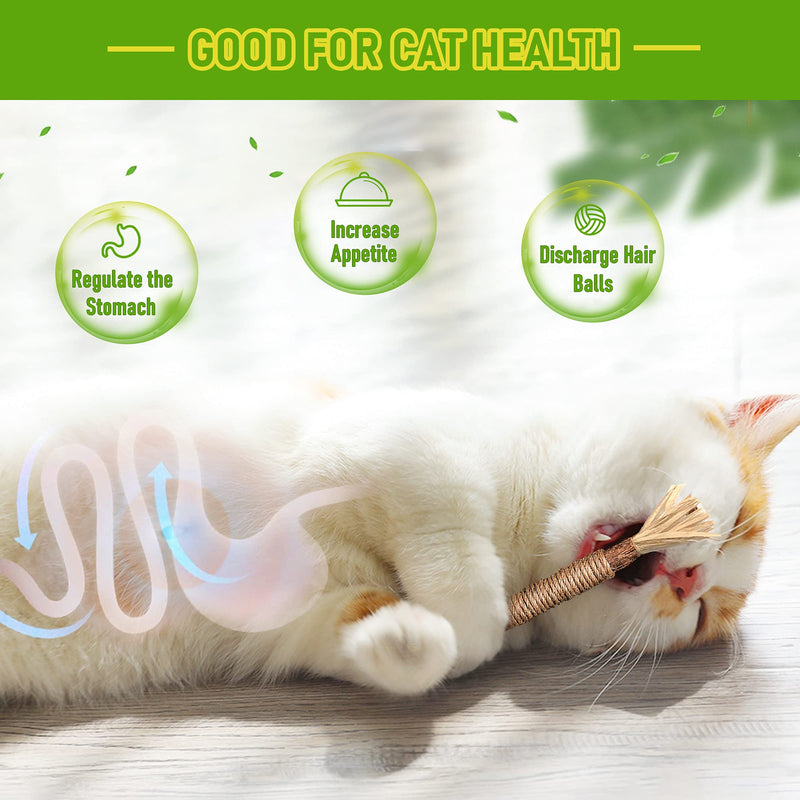 BAWAN Catnip Toys‖ Silvervine for Cats: Cute Cat & Kitten Toys for Indoor Cats Interactive‖ Cat & Kitten Teething Chew Toys for Aggressive Chewers‖ Silvervine Sticks Cat Dental Toy (3PCS) 3PCS - BeesActive Australia