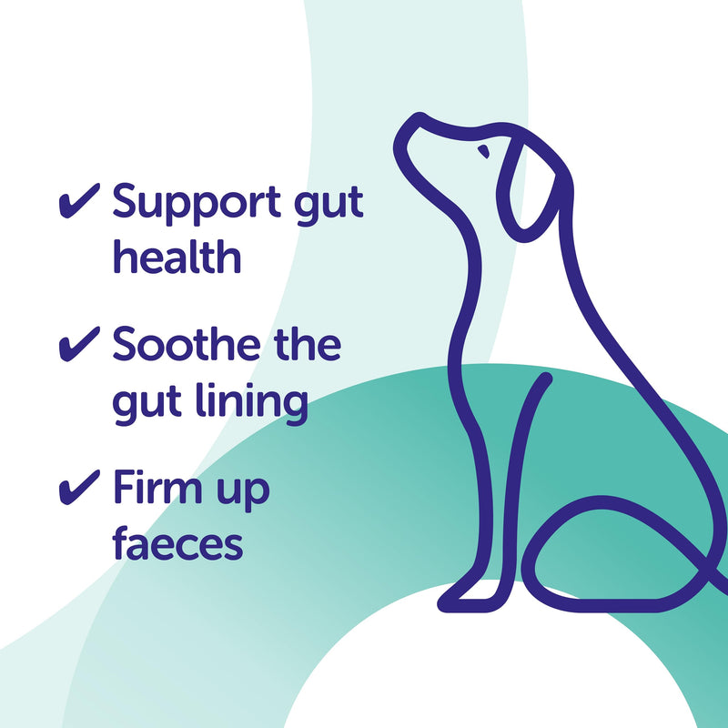 Protexin Veterinary Pro-Kolin Advanced for Dogs 30ml - PawsPlanet Australia
