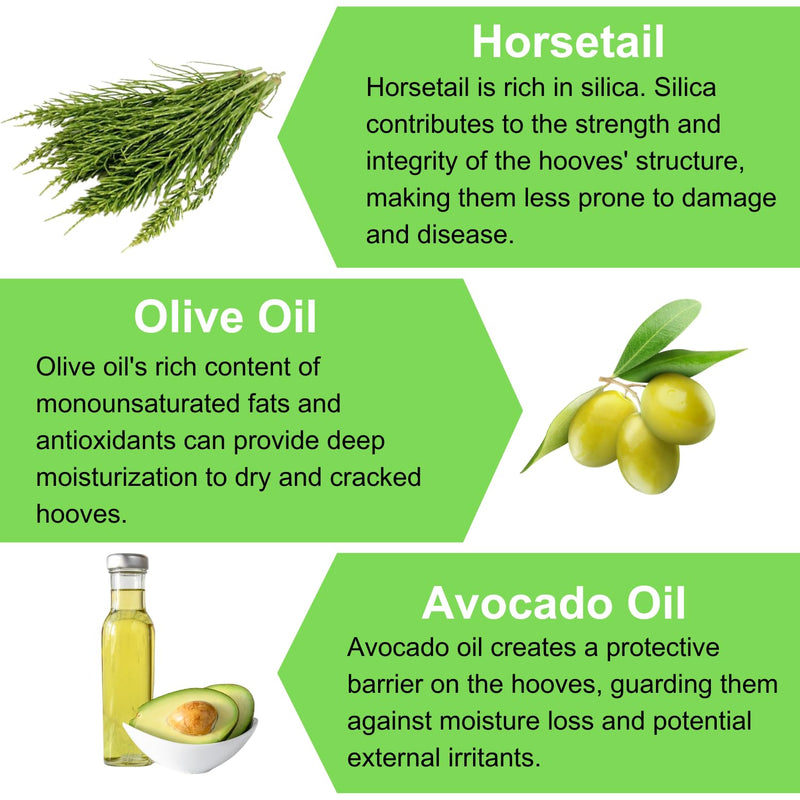 Hoof Oil - All Natural Hoof Conditioner for Horses with Hoof Oil Brush Applicator - Strengthens, Moisturizes and Treats Hoof Problems - 16 fl oz. - BeesActive Australia